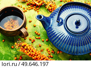 Fragrant autumn tea, tea with fresh sea buckthorn. Berry drink. Tea with sea buckthorn, healthy drink. Стоковое фото, агентство Ingram Publishing / Фотобанк Лори