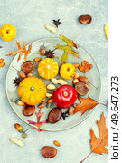 Squash with autumn fruit, apples, and nuts ,close up. Autumn still life, gourds. Autumn food, pumpkins and nuts. Стоковое фото, агентство Ingram Publishing / Фотобанк Лори