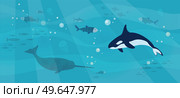 Underwater landscape with sea creatures. Large predatory marine mammals, killer whale and narwhal in ocean. Fish and marine life swimming in salty sea water. Whales and fishes, aquatic world. Underwater landscape with sea creatures. Predatory marine mammals, killer whale and narwhal in ocean. Стоковая иллюстрация, агентство Ingram Publishing / Фотобанк Лори