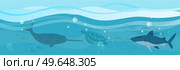 Underwater landscape with sea creatures. Large predatory marine mammals, killer whale and narwhal in ocean. Fish and marine life swimming in salty sea water. Whales and fishes, aquatic world. Underwater landscape with sea creatures. Predatory marine mammals, killer whale and narwhal in ocean. Стоковая иллюстрация, агентство Ingram Publishing / Фотобанк Лори