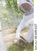 a beekeeper is at work. Стоковое фото, агентство Ingram Publishing / Фотобанк Лори