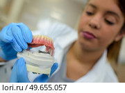 preparing a dental treatment. Стоковое фото, агентство Ingram Publishing / Фотобанк Лори