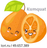 Cute kumquat sticker kawaii icon vector design. Adorable cute charming tropical fruit with positive emotions event or very pleasant situation, japanese culture symbol anime, innocence and childishness. Cute kumquat sticker kawaii character icon vector design. Adorable, cute charming cheerful face. Стоковая иллюстрация, агентство Ingram Publishing / Фотобанк Лори