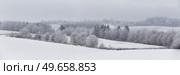 Panorama of winter forest covered by clouds. December fog on hills. Misty fall woodland. Snowstorm. Snowy fir, pine trees. Cold wind overcast weather. Low visibility village on background. Стоковое фото, агентство Ingram Publishing / Фотобанк Лори