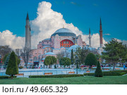 Hagia Sophia (Ayasofya) museum view from the Sultan Ahmet Park in Istanbul, Turkey. Стоковое фото, агентство Ingram Publishing / Фотобанк Лори