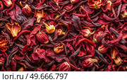 Close Up of Dried Tea and Hibiscus Flowers. Generative AI. Стоковое AI-изображение, AI-художник Roman Zavorotny / Фотобанк Лори