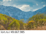 views of Mount Annapurna Himalayas, Nepal, Asia. Стоковое фото, агентство Ingram Publishing / Фотобанк Лори