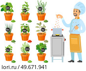 Professional chef stands with spoon and soup pot on stove. Man preparing dish, adding spice to meal. Male character adds ingredients to hot dish. Cook near plants with spices and herbs in pots. Cook near plants with spices and herbs in pots. Chef preparing dish, adding spice to meal. Стоковая иллюстрация, агентство Ingram Publishing / Фотобанк Лори