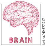 Polygonal human brain made of red lines and dots. Medical research of internal organs, innovative approach concept. Organ of human central nervous system. Modern depiction of organ regulating body. Organ of human central nervous system. Modern depiction of brain made of red lines and dots. Стоковая иллюстрация, агентство Ingram Publishing / Фотобанк Лори