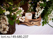 Wedding decoration in the Slavic style. Flower arrangements in stumps and snags. Стоковое фото, фотограф Галина Федосеева / Фотобанк Лори