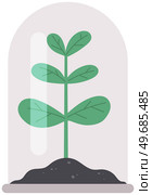 Plant for experiments and research under protective dome isolated on white background. Transparent glass or plastic container above sprout in ground. Glass dome covers plant or tree specimen. Plant for experiments and research under protective dome. Transparent glass container above sprout. Стоковая иллюстрация, агентство Ingram Publishing / Фотобанк Лори