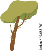 Alone deciduous tree with trunk and dense foliage. High plant with widely spread branches and green leaves. Broad-stemmed deciduous plant. Tree with green foliage isolated on white background. Deciduous tree with trunk and dense foliage. High plant with widely spread branches and green leaves. Стоковая иллюстрация, агентство Ingram Publishing / Фотобанк Лори
