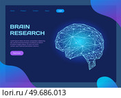 Polygonal human brain made of lines and dots. Medical research of internal organs, innovative technology in medicine concept. Organ of human central nervous system. Brain modern 3D volumetric image. Polygonal human brain, organ of central nervous system. Innovative technology in medicine concept. Стоковая иллюстрация, агентство Ingram Publishing / Фотобанк Лори