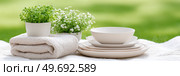 Elegant outdoor picnic setting with white dishes and fresh plant decoration on blanket. Стоковое AI-изображение, AI-художник Мария Фадеева / Фотобанк Лори