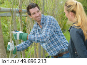 portrait of a gardener pruning sapling. Стоковое фото, агентство Ingram Publishing / Фотобанк Лори