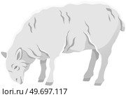 White ship, domestic farm animal. Lamb with wool, ruminant mammal vector illustration. Farming, animal husbandry and livestock breeding. Domesticated farm sheep for meat and wool production. White ship, domestic farm animal for meat and wool production. Farming and livestock breeding. Стоковая иллюстрация, агентство Ingram Publishing / Фотобанк Лори