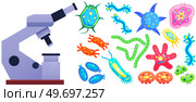 Scientific laboratory analysis of life system and organisms with microscope. Microbiology, biology, science, biological research concept. Biologist researches and studies bacteria and microorganism. Scientific laboratory analysis of life system and organisms with microscope, biology, microbiology. Стоковая иллюстрация, агентство Ingram Publishing / Фотобанк Лори