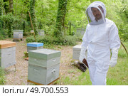 a beekeeper is at work. Стоковое фото, агентство Ingram Publishing / Фотобанк Лори