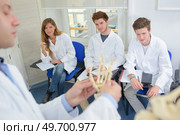 Doctor showing students the hand of a skeleton. Стоковое фото, агентство Ingram Publishing / Фотобанк Лори