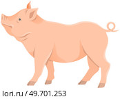 Pink pig, domestic farm animal. Piggy or swine, artiodactyl mammal vector illustration. Farming, agriculture and livestock breeding. Domesticated animal, farm pig for meat and fat production. Pink pig, domestic farm animal for meat and fat production. Farming and livestock breeding. Стоковая иллюстрация, агентство Ingram Publishing / Фотобанк Лори