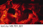 Glowing embers with intense red hues highlighting charred remnants. Стоковое видео, видеограф Татьяна Лобанова / Фотобанк Лори