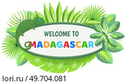Welcome to madagascar banner with hand written word, funny animal chameleon, flowers and leaves, lizard and headline isolated on white background. Poster invitation to exotic tropical island. Welcome to madagascar banner with hand written word, funny animal chameleon, flowers and leaves. Стоковая иллюстрация, агентство Ingram Publishing / Фотобанк Лори