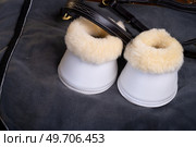 luxery hoof protectors with natural fur for sportive horses in complete with cover and halter. horse stuff and care. Стоковое фото, агентство Ingram Publishing / Фотобанк Лори