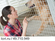 dedicated girl training dog in kennel. Стоковое фото, агентство Ingram Publishing / Фотобанк Лори
