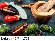 Burdock plant with flowers, herbal medicine. Medicinal plant burdock. Стоковое фото, агентство Ingram Publishing / Фотобанк Лори