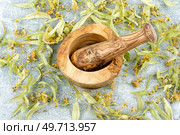 Dried linden flowers and mortar. Herbal medicine.. Dry linden inflorescences. Стоковое фото, агентство Ingram Publishing / Фотобанк Лори