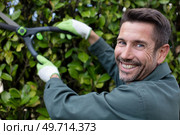 handsome professional gardener trimming hedge. Стоковое фото, агентство Ingram Publishing / Фотобанк Лори