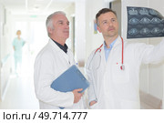 a doctors looking at xrays. Стоковое фото, агентство Ingram Publishing / Фотобанк Лори
