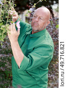 male gardener with pruning shears in spring. Стоковое фото, агентство Ingram Publishing / Фотобанк Лори