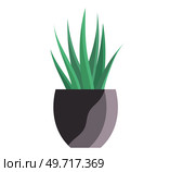 House and home plant. Vector illustration. Room decoration gardening is trend that incorporates plants into home decor Stylish planters and pots are key for successful home plant in flowerpot. House and home plant. Vector. Room decoration gardening is trend that incorporates plants into home decor. Стоковая иллюстрация, агентство Ingram Publishing / Фотобанк Лори