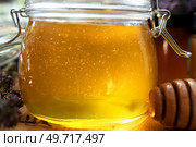 fresh natural  linden honey in big glass jar  at wooden tray with wooden  honey spoon around herb flowers. close up. . Стоковое фото, агентство Ingram Publishing / Фотобанк Лори
