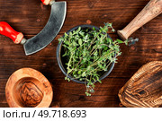 Marjoram, spice with a sweet smell and a medicinal plant. Marjoram leaves. Raw sprig of marjoram, spice on old table. Стоковое фото, агентство Ingram Publishing / Фотобанк Лори