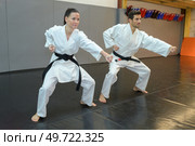 Man and woman in martial arts pose. Стоковое фото, агентство Ingram Publishing / Фотобанк Лори