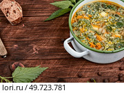 Nettle soup in a saucepan. Stinging nettle soup. Healthy food, copy space.. Vegan fresh nettle soup. Стоковое фото, агентство Ingram Publishing / Фотобанк Лори