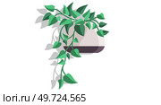House and home plant. Vector illustration. The choice home plant in flowerpot can be guided by your overall room decoration gardening theme A houseplant in stylish planter and pot is more than plant. House and home plant. Vector. An interior potted plant can serve as unique element in trendy home decor with plants. Стоковая иллюстрация, агентство Ingram Publishing / Фотобанк Лори