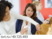 a female apprentice using hairspray. Стоковое фото, агентство Ingram Publishing / Фотобанк Лори