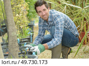 portrait of a gardener tending potted trees. Стоковое фото, агентство Ingram Publishing / Фотобанк Лори