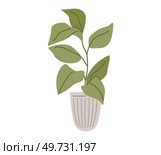 Flower pot. Vector illustration. The flower pot metaphor signifies potential for growth and beauty Botanic gardens offer glimpse into world diverse plant life Botany studies various aspects plant. Flower pot. The flowery scent blooms fills air with fragrance. The flowered wallpaper brings sense charm to room. Стоковая иллюстрация, агентство Ingram Publishing / Фотобанк Лори