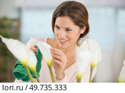 woman caring for arum lilies in her home. Стоковое фото, агентство Ingram Publishing / Фотобанк Лори