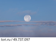 Полная луна и легкие облака. Стоковое фото, фотограф Сергей Мартынов / Фотобанк Лори