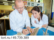 male artisan and female apprentice working on a picture frame. Стоковое фото, агентство Ingram Publishing / Фотобанк Лори