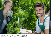 portrait of two joyful smiling vineyard workers. Стоковое фото, агентство Ingram Publishing / Фотобанк Лори