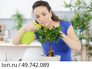 a woman sprays a bonsai. Стоковое фото, агентство Ingram Publishing / Фотобанк Лори