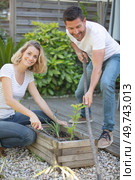 couple tending to their back garden. Стоковое фото, агентство Ingram Publishing / Фотобанк Лори