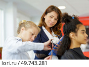 a young learning hair apprentice. Стоковое фото, агентство Ingram Publishing / Фотобанк Лори
