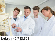 Doctor and students looking at skeleton. Стоковое фото, агентство Ingram Publishing / Фотобанк Лори